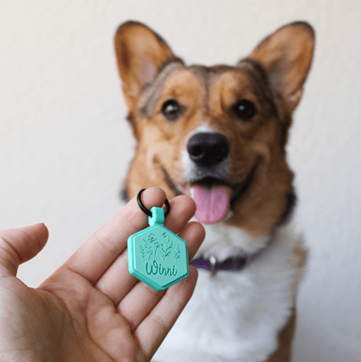 Maximize Your Pet's Safety: Why Silicone Pet Tags Are the Best Choice