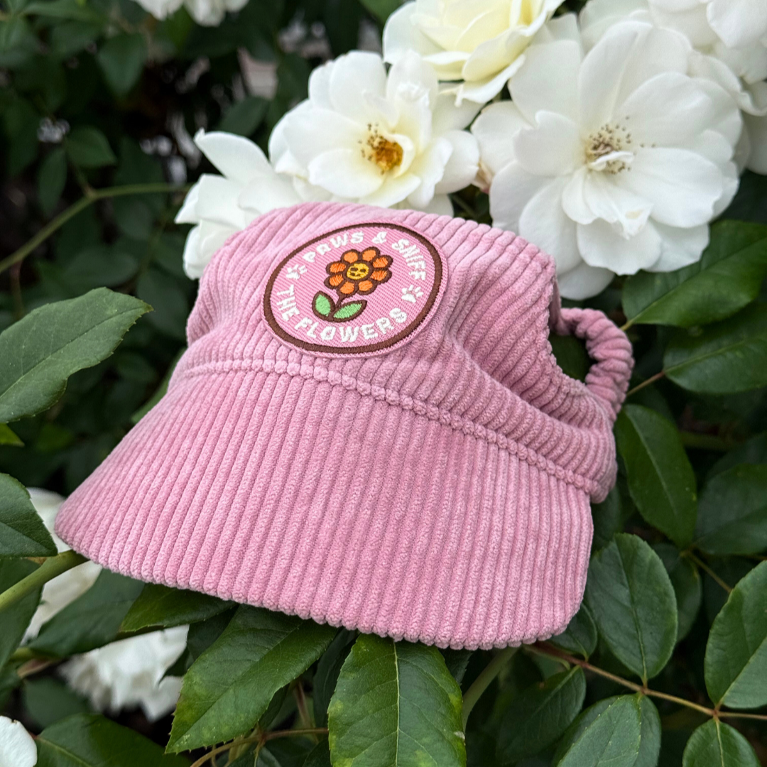 Pink corduroy dog hat with a flower design on a background of white flowers and green leaves