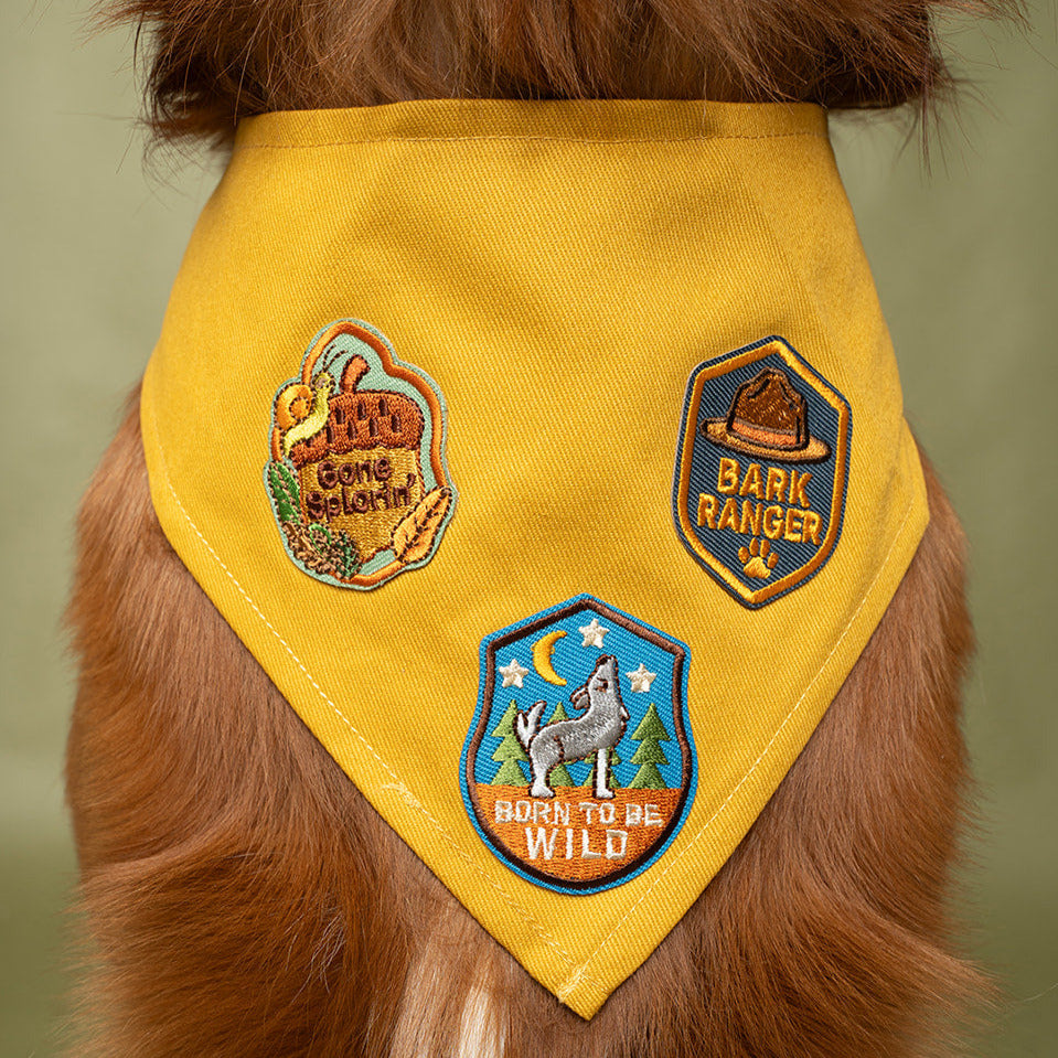 Dog wearing a yellow bandana with patches on a green background