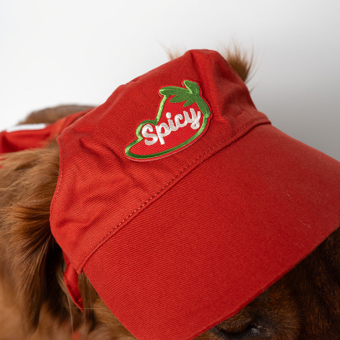 Red cap with 'Spicy' pepper embroidery patch worn by a dog on a white background