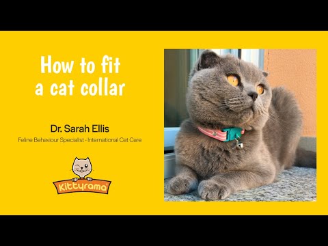 Kittyrama Meadow Safety Breakaway Silicone Cat Collar