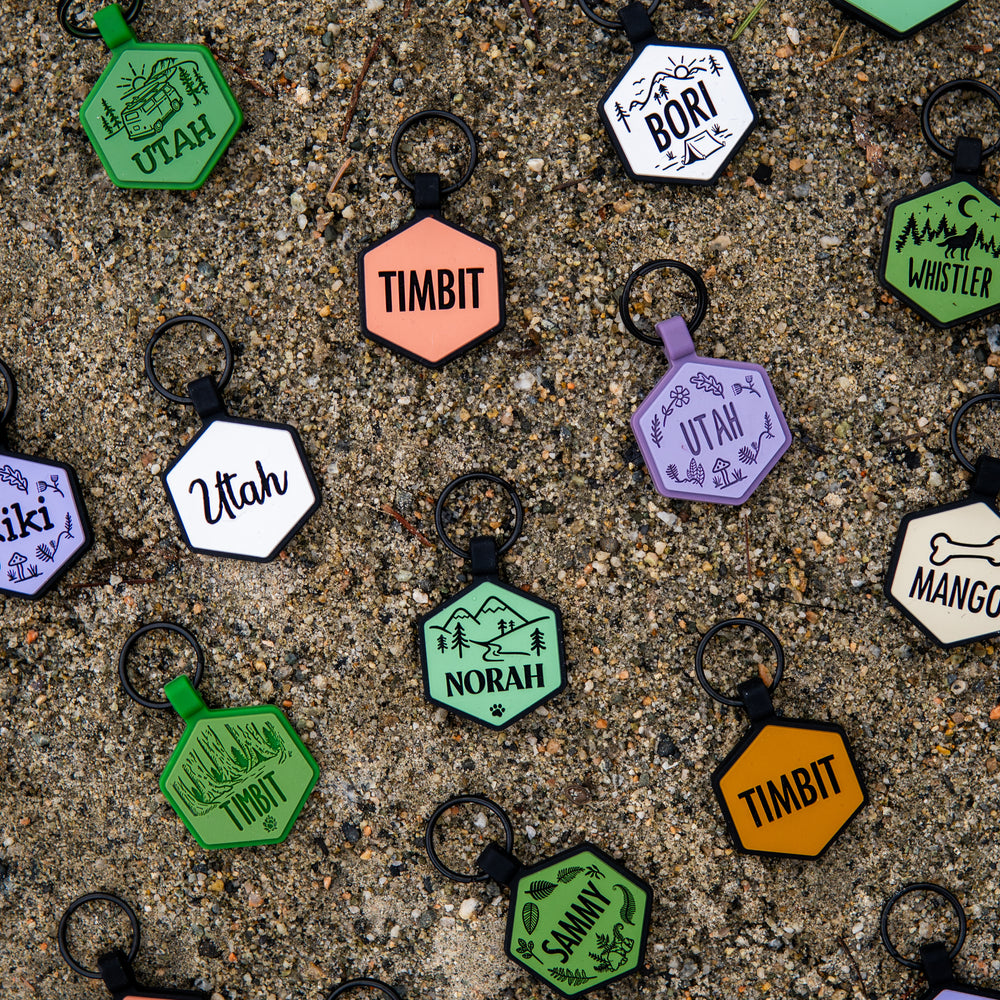 Tag, You're It! The Ultimate Guide to Crafting the Paw-fect ID Tag with Besties