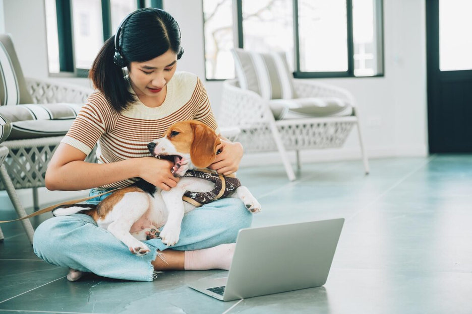 Living the Digital Nomad Dream with Your Pet