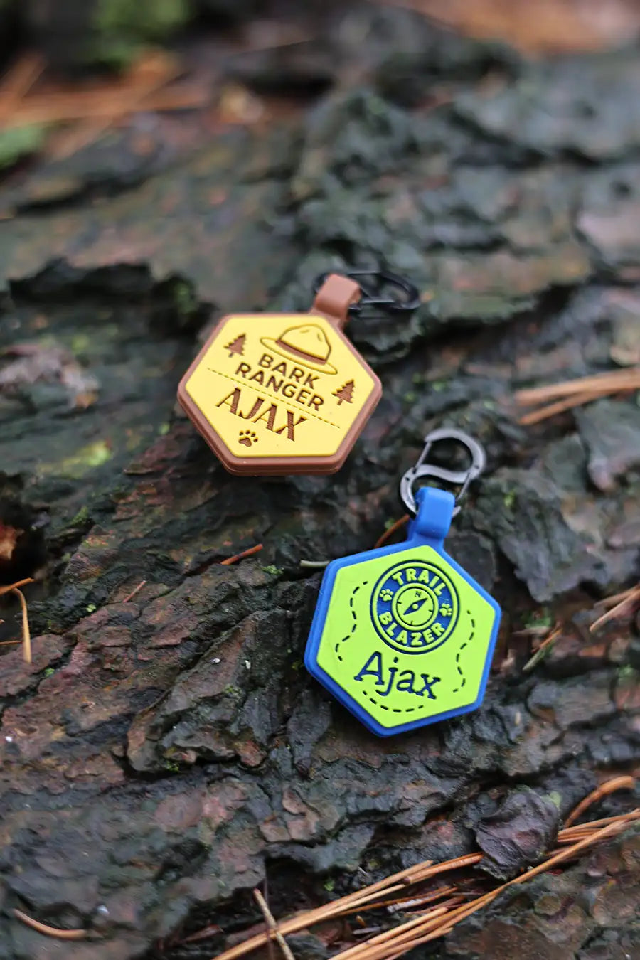 Best Dog Tags for Hiking: Silent, Durable Options for Adventure Dogs