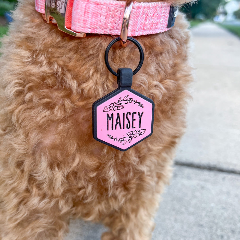 Do dogs really need an ID tag? The answer is YES!