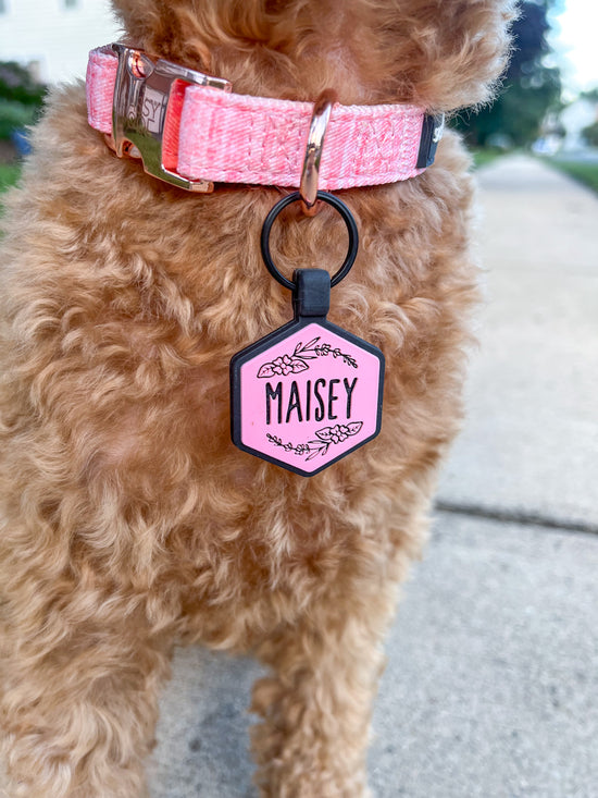 Do dogs really need an ID tag? The answer is YES!