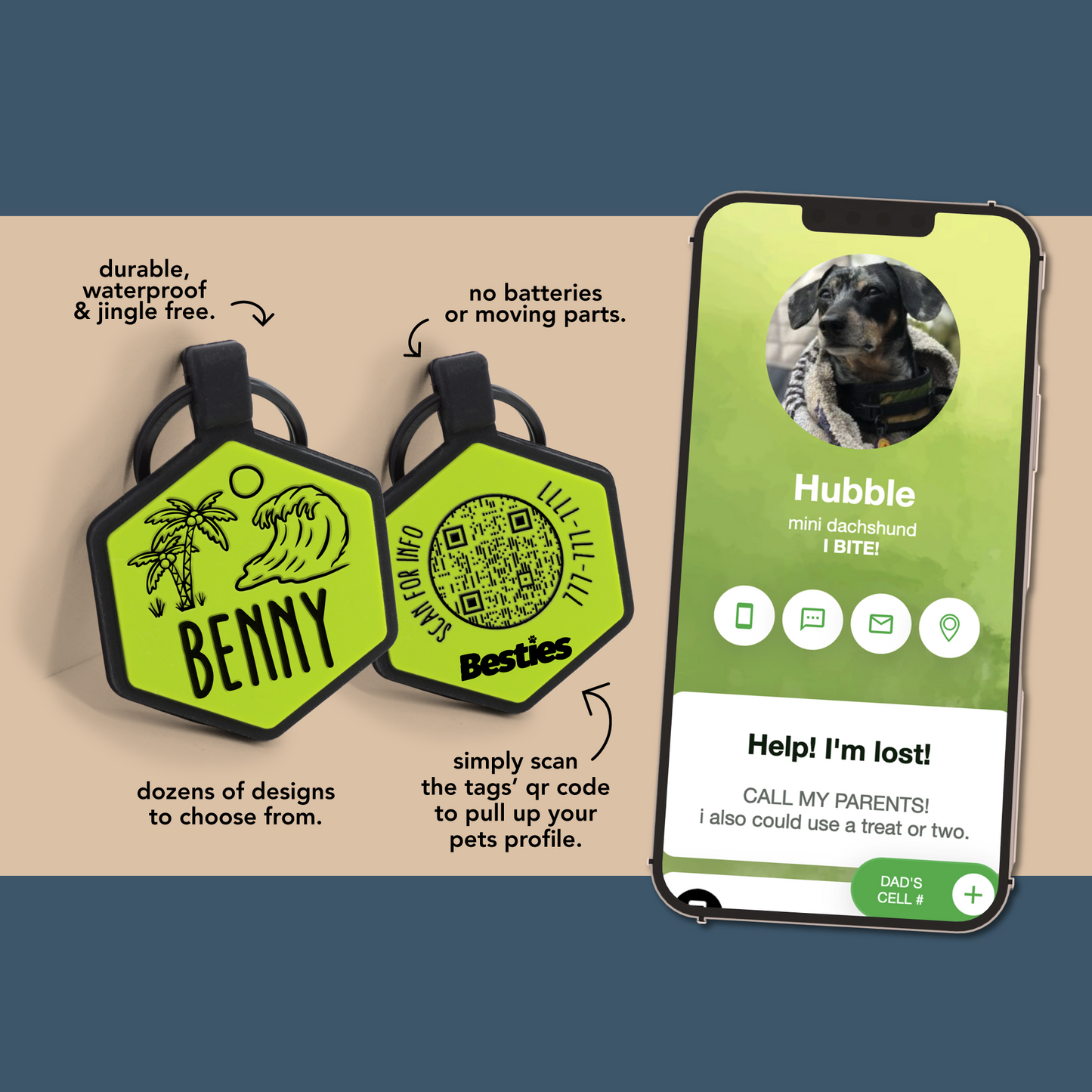 Unlocking Safety: The Tale of QR Code Pet ID Tags