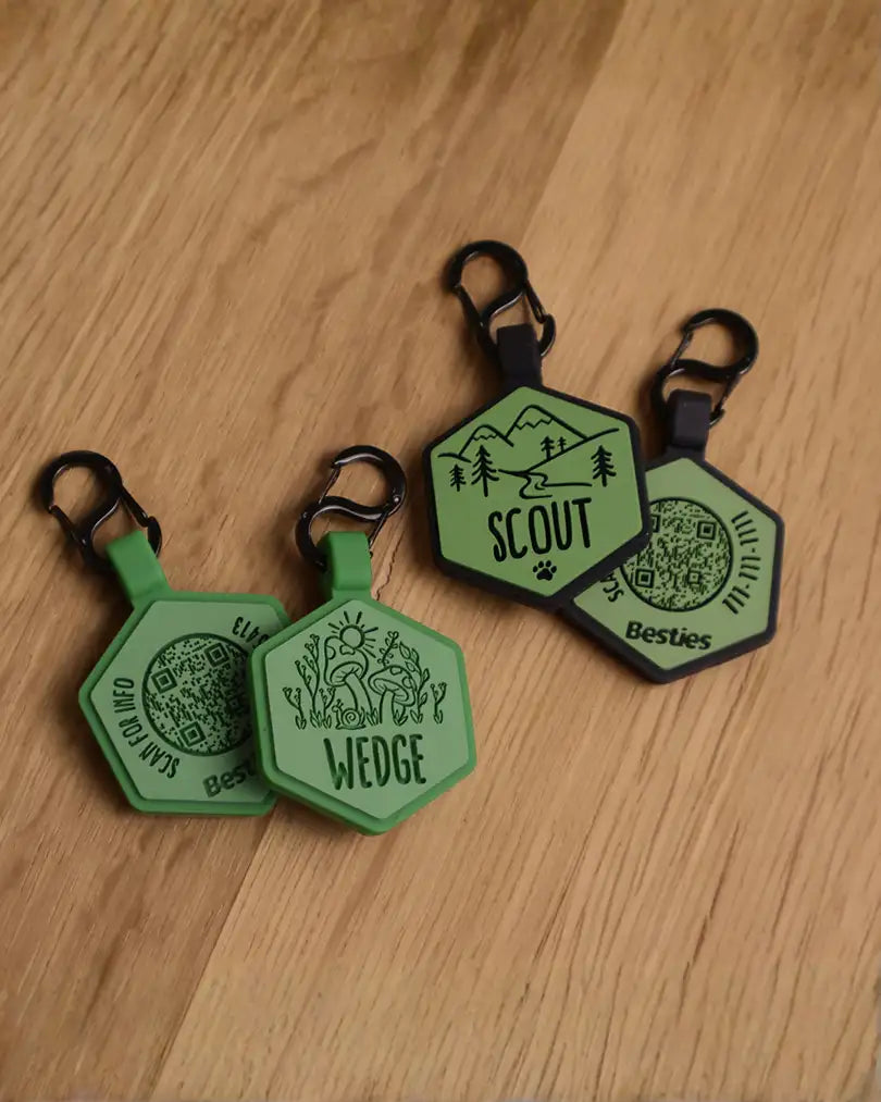 QR Code Pet ID Tags Explained: A Safer, Smarter Way to Get Your Dog Home