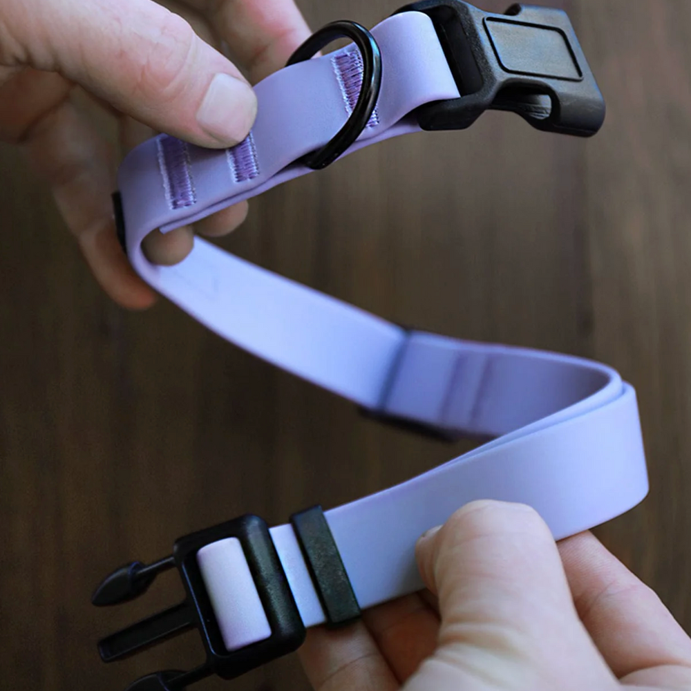 Hands adjusting a purple adjustable dog collar with a black buckle and D-ring, showcasing a secure and durable design for pet comfort and safety.