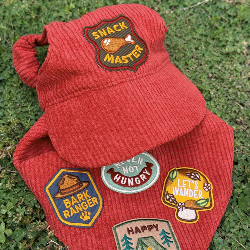 
                  
                    Red corduroy dog hat and bandana with patches on a grass background
                  
                