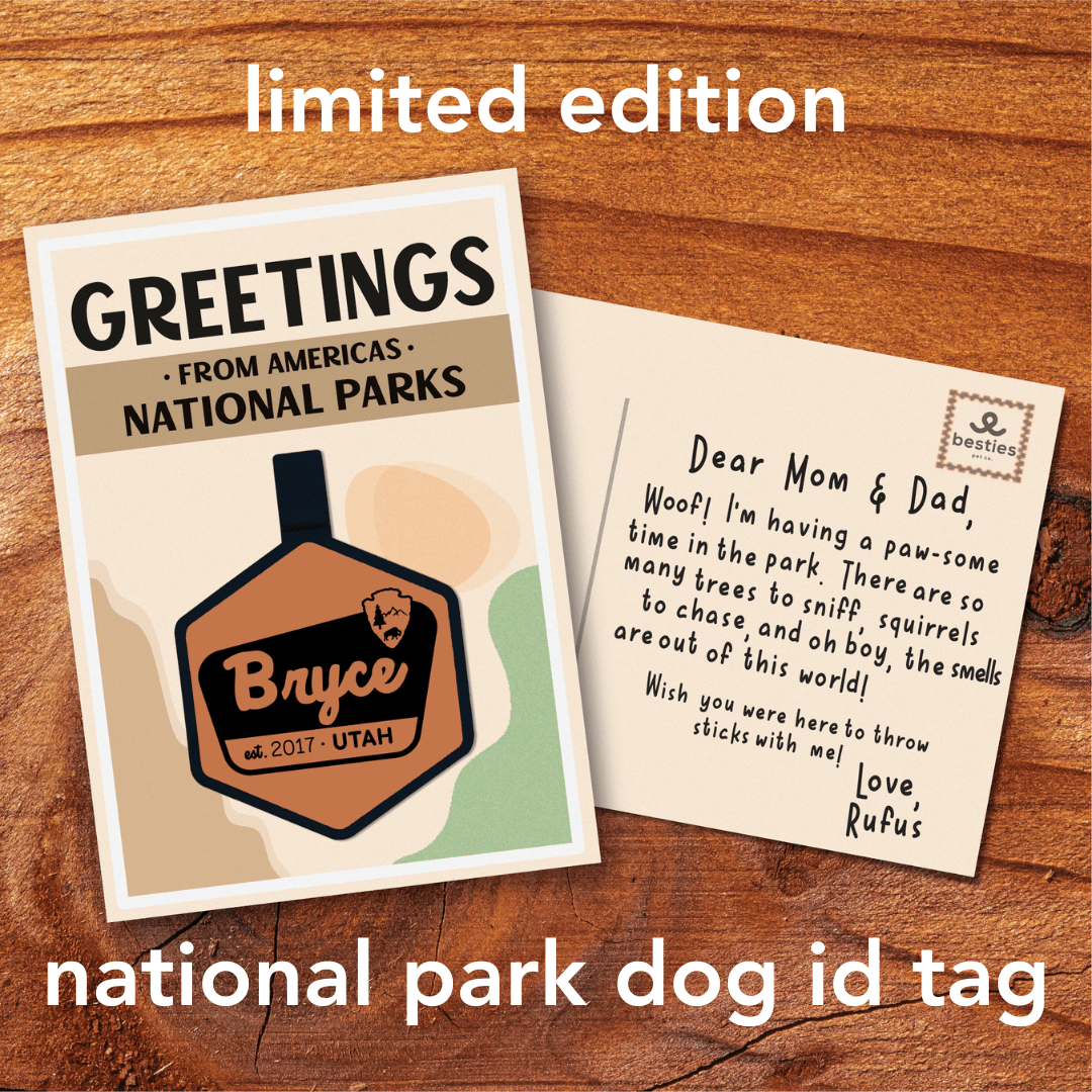 National Park Silicone ID Tag