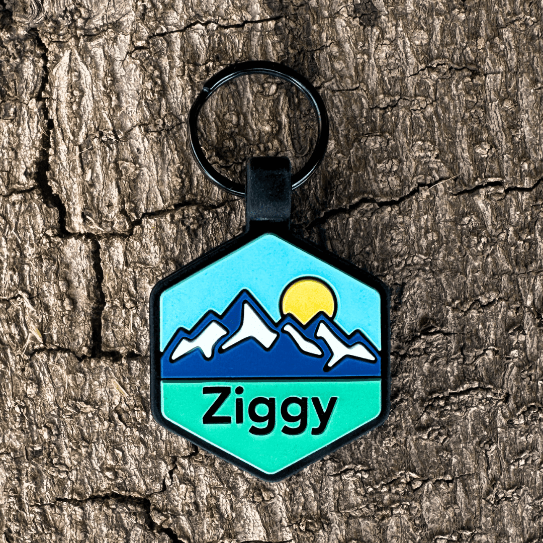 V Ridge Qr Code QR Code Silicone Dog ID Tag - Pup's Peak in Blue Ridge | Besties