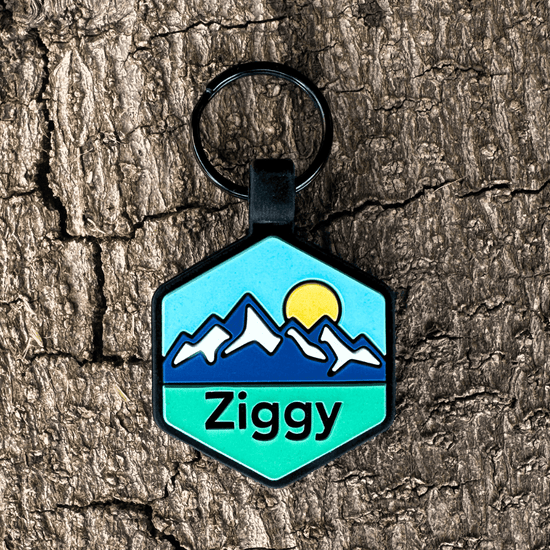 Pup's Peak Silicone Dog ID Tag - Blue Ridge