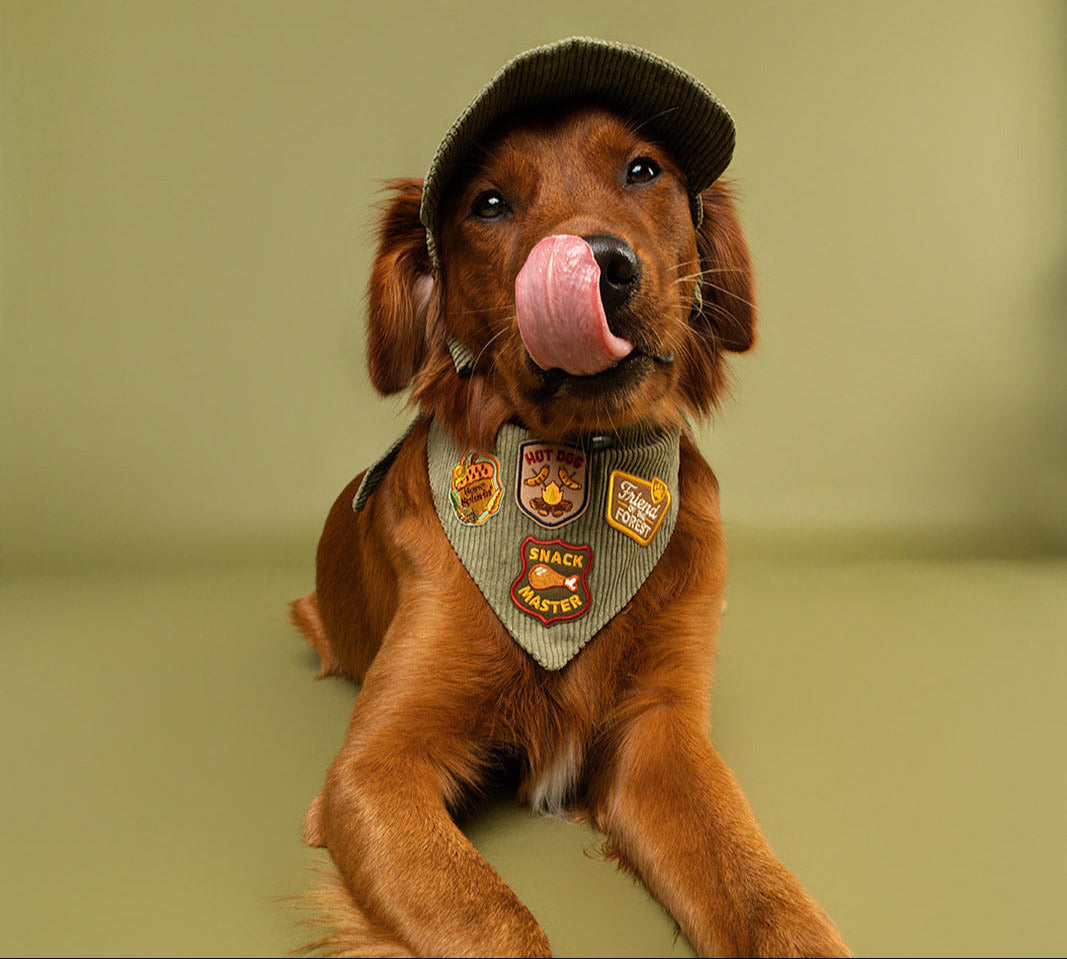Dog wearing a bandana with patches and a black hat on a green background