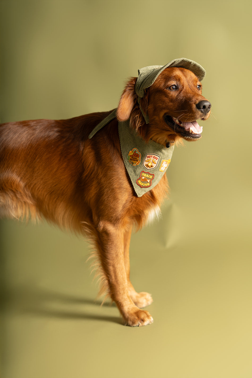 QR Code Customized Jingle-Free Silicone Dog ID Tag | Besties Pets