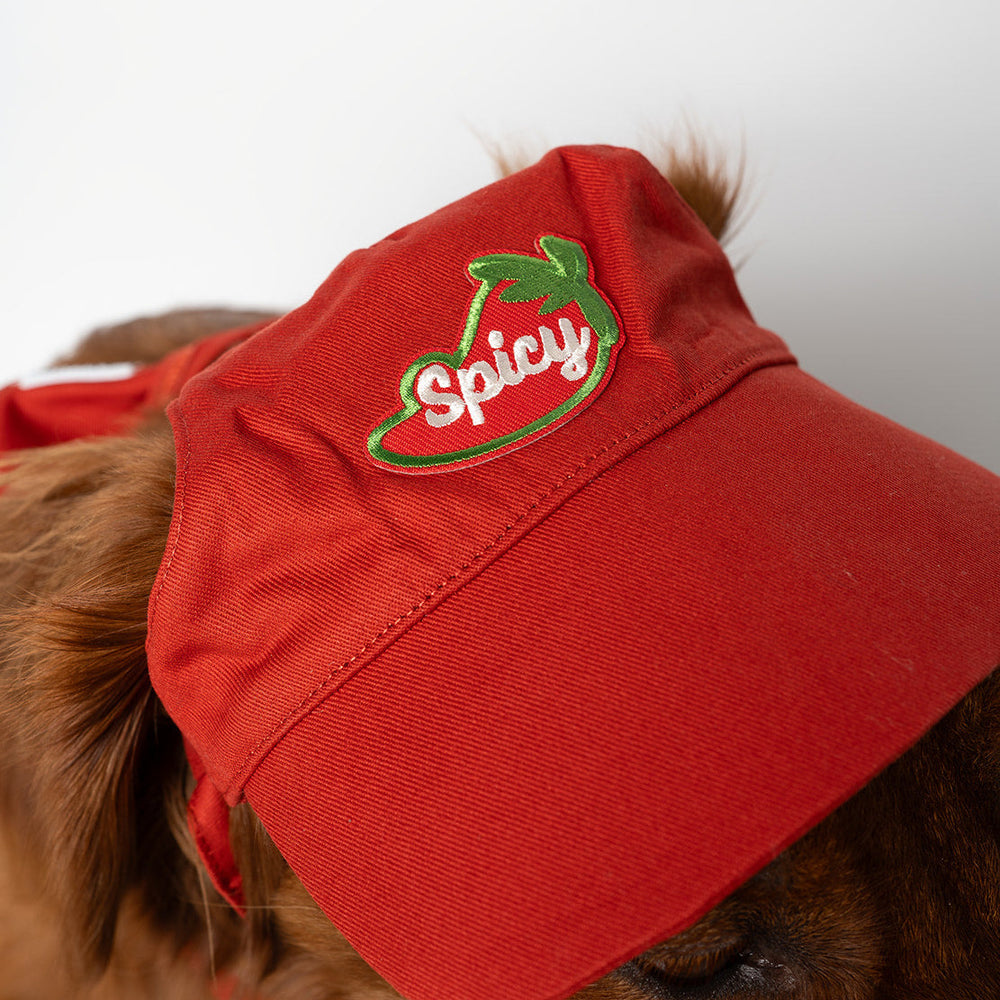 
                  
                    Red cap with 'Spicy' pepper embroidery patch worn by a dog on a white background
                  
                