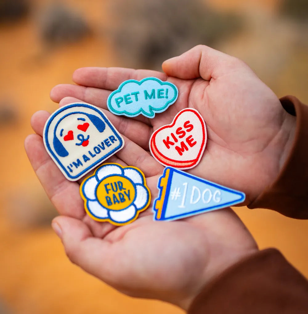 Hand holding colorful iron-on dog patches with text and graphics against a blurred natural background