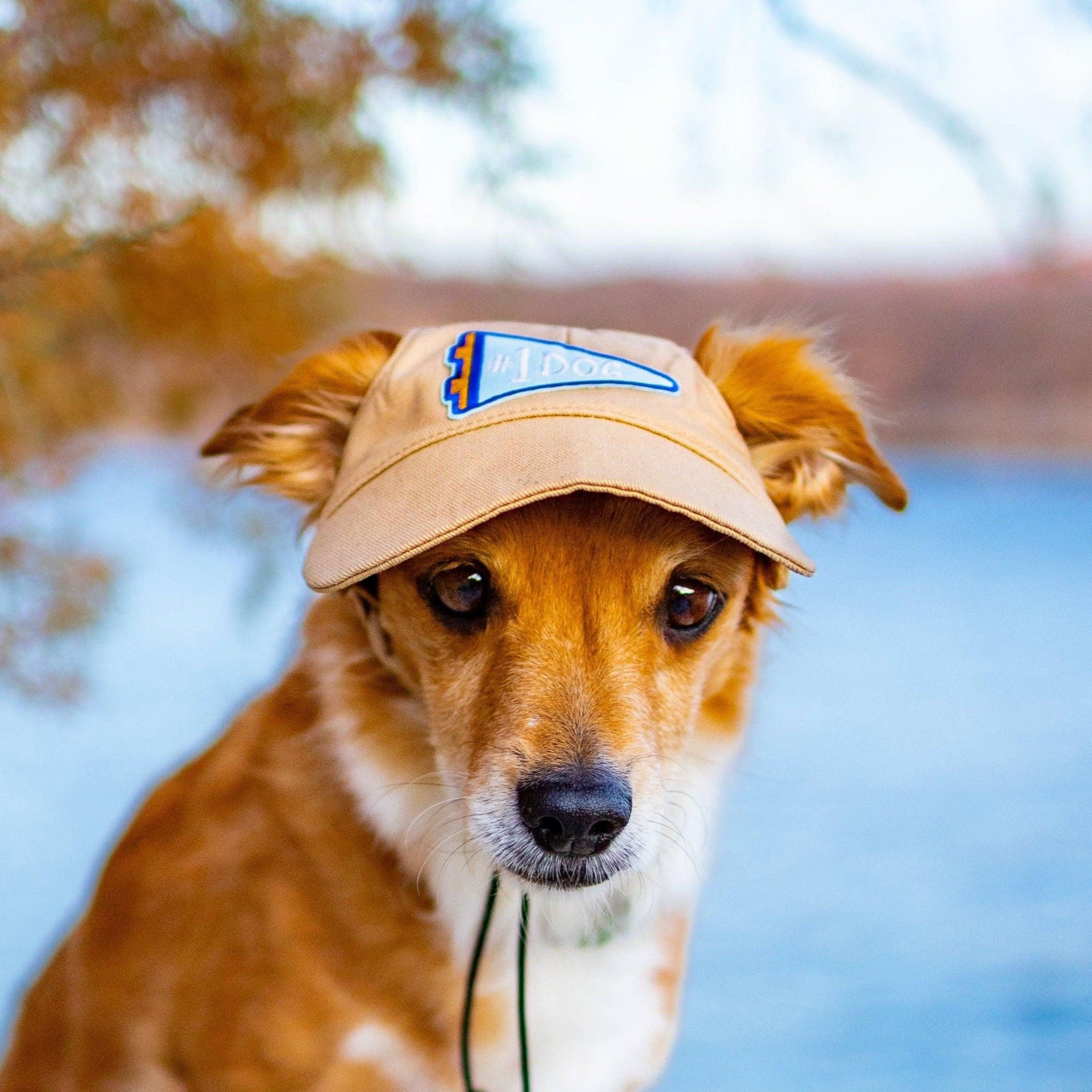 Adventure Dog Hat – Adjustable, Customizable, Stylish | From Besties