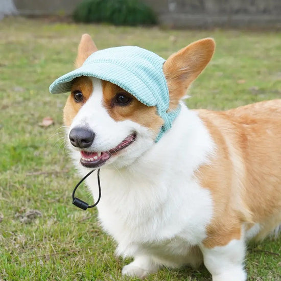 Corduroy Dog Baseball Hat