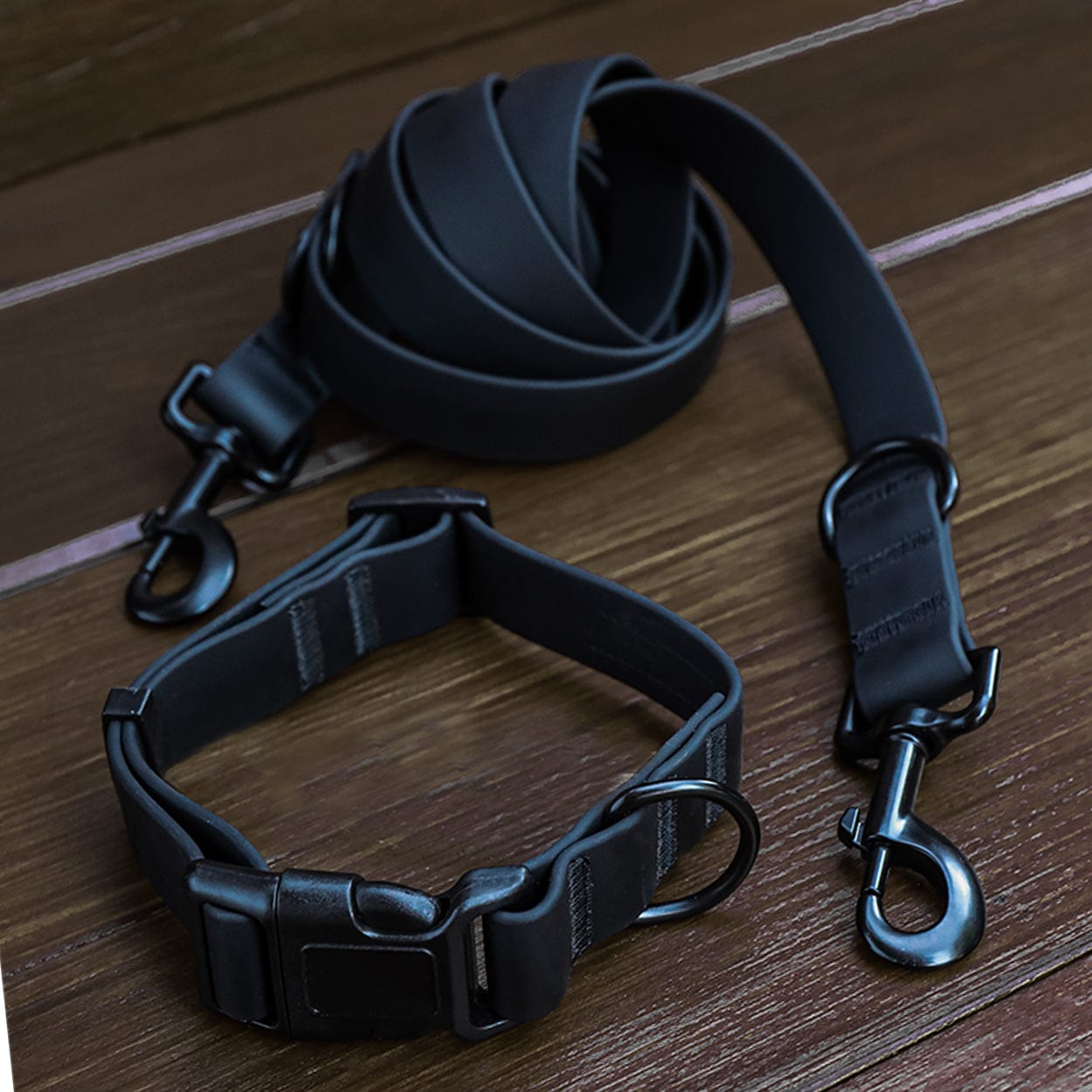 Black Leash and Collar Set