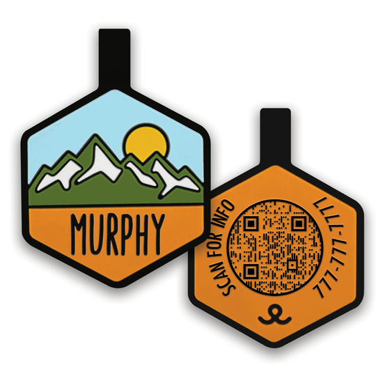 QR Code Pup's Peak Silicone Dog ID Tag - Alpine Meadow