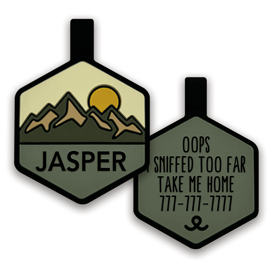 Pup's Peak Silicone Dog ID Tag - Sand Canyon