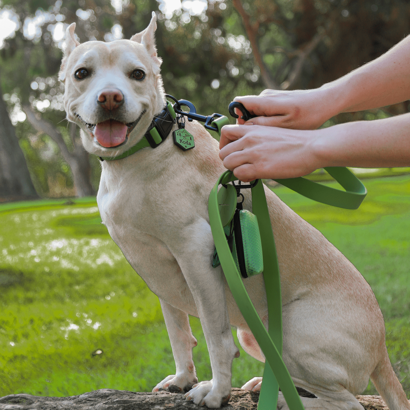 Sage Waterproof Dog Leash