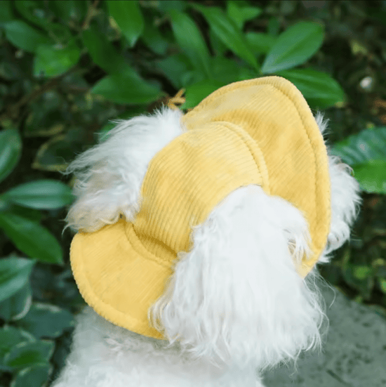 Corduroy Dog Bucket Hat