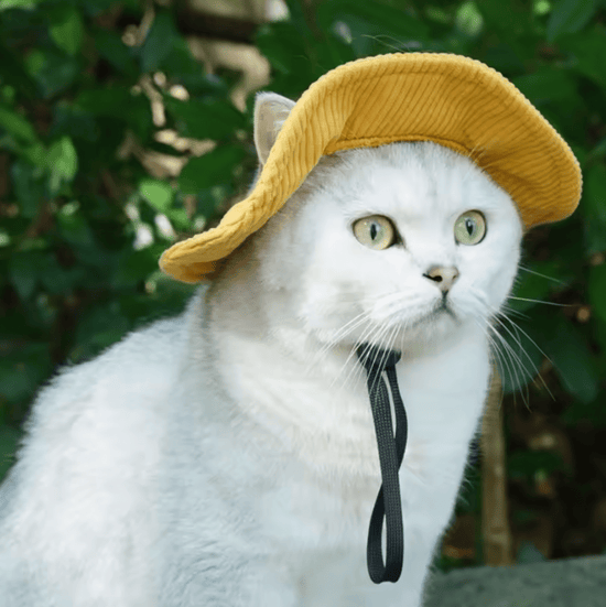 Corduroy Dog Bucket Hat