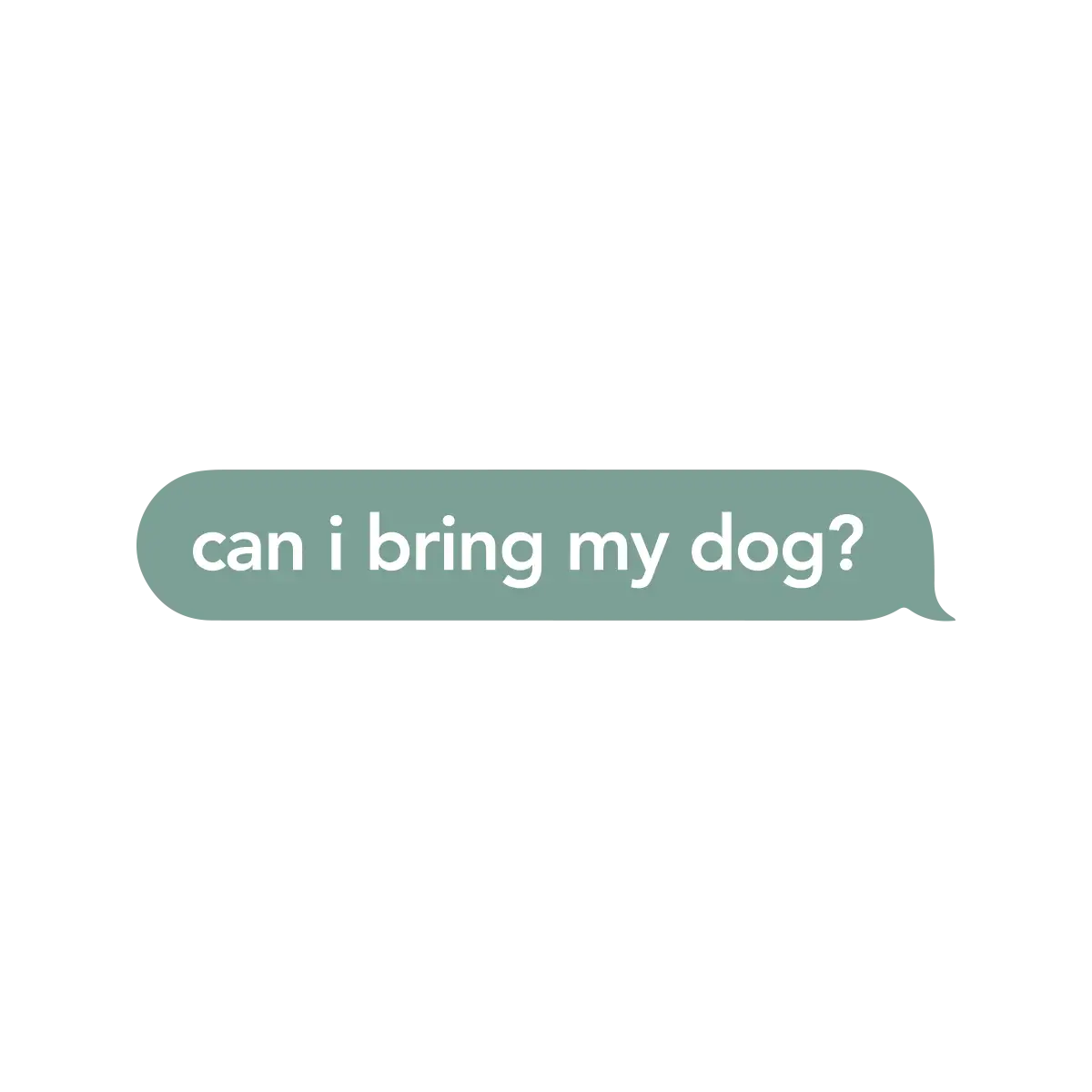 A seafoam green long oval sticker that says "can i bring my dog?"