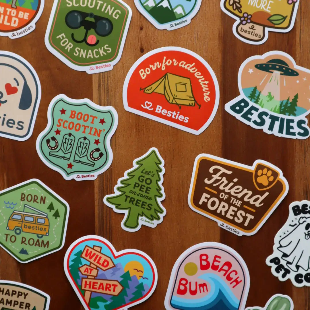 Flat lay of stickers arranged on a wooden surface with an adventure theme.  A few say 