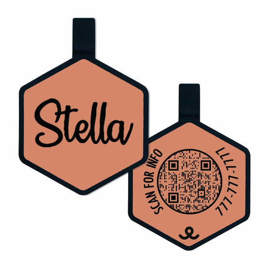 QR Code Terra Cotta Silicone ID Tag