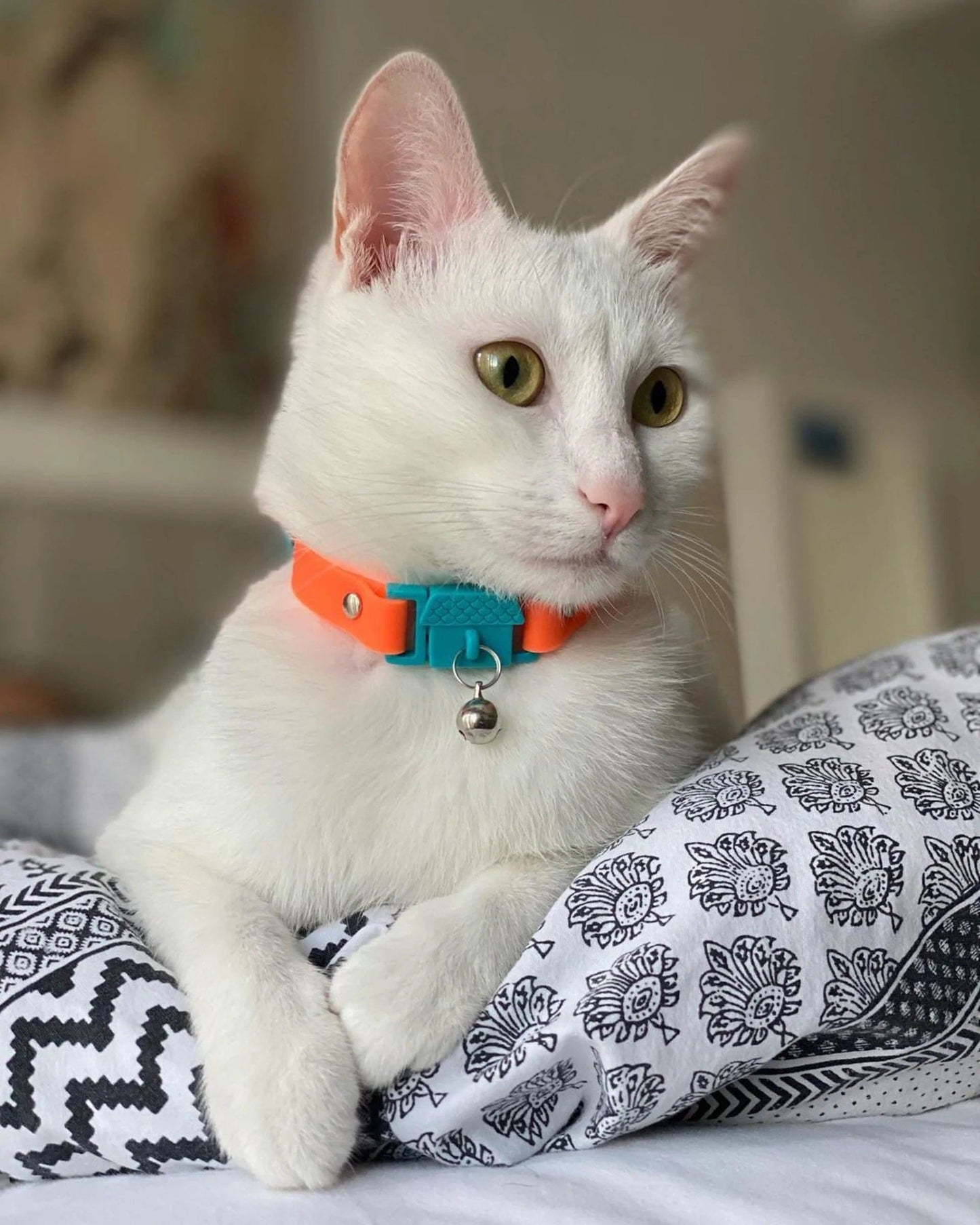 Kittyrama Tangerine Safety Breakaway Silicone Cat Collar