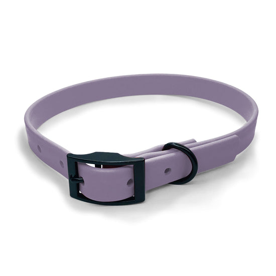 Lilac Waterproof Adjustable Dog Collar