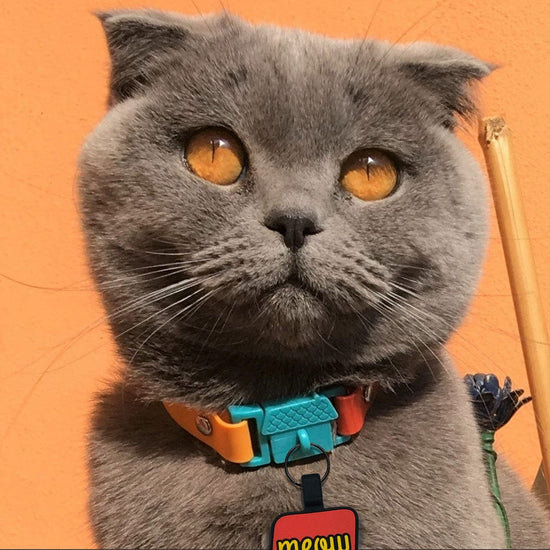 Load image into Gallery viewer, Kittyrama Copacabana Safety Breakaway Silicone Cat Collar
