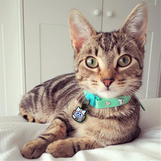 Kittyrama Meadow Safety Breakaway Silicone Cat Collar