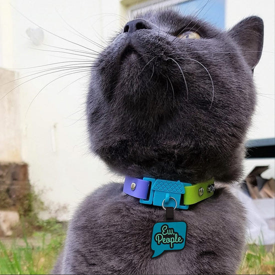 Load image into Gallery viewer, Kittyrama Tahiti Safety Breakaway Silicone Cat Collar
